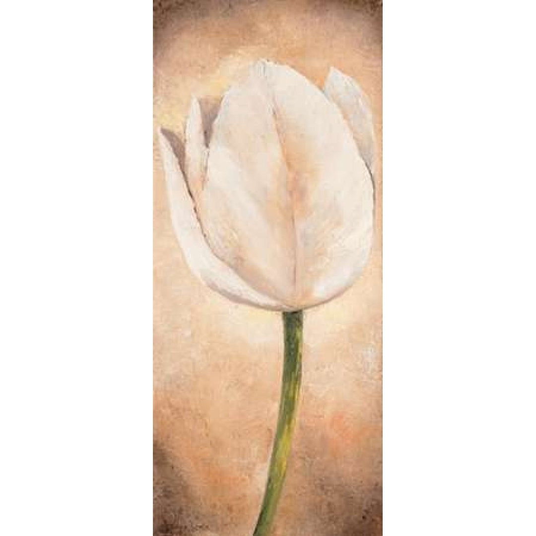 Tulip on beige I Poster Print by Lenna Lotus-VARPDXMLV446 Image 2