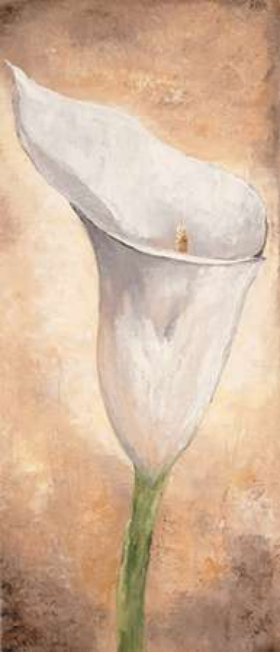 Calla Lilly I Poster Print by Lenna Lotus-VARPDXMLV449 Image 1