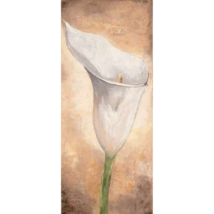 Calla Lilly I Poster Print by Lenna Lotus-VARPDXMLV449 Image 2