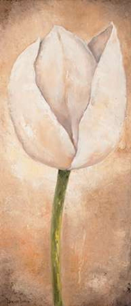 Tulip on beige III Poster Print by Lenna Lotus-VARPDXMLV448 Image 1