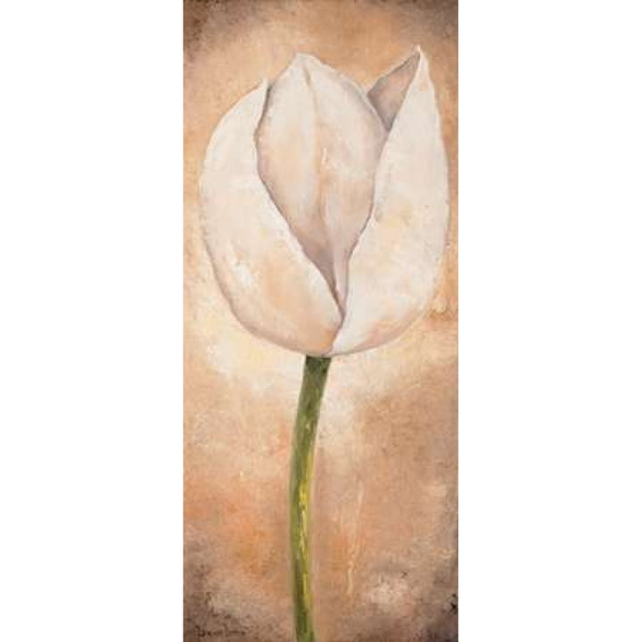 Tulip on beige III Poster Print by Lenna Lotus-VARPDXMLV448 Image 2