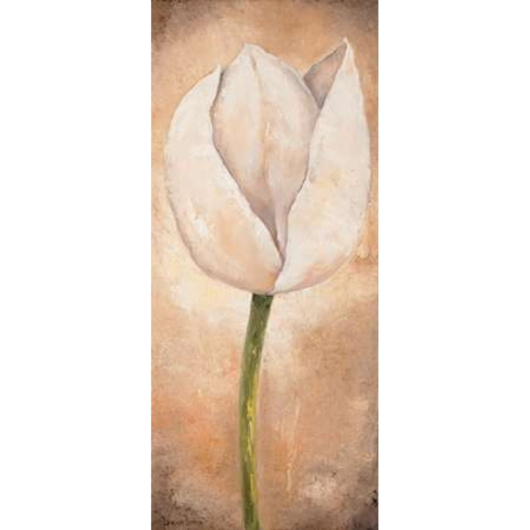 Tulip on beige III Poster Print by Lenna Lotus-VARPDXMLV448 Image 1