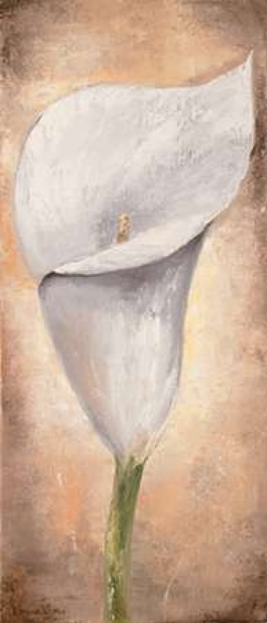 Calla Lilly III Poster Print by Lenna Lotus-VARPDXMLV451 Image 1