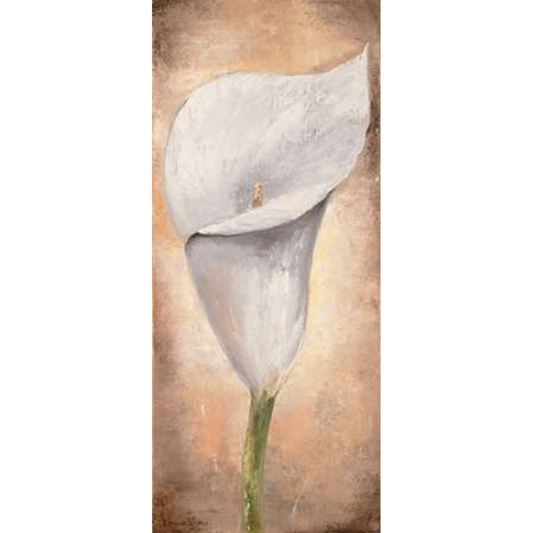 Calla Lilly III Poster Print by Lenna Lotus-VARPDXMLV451 Image 2