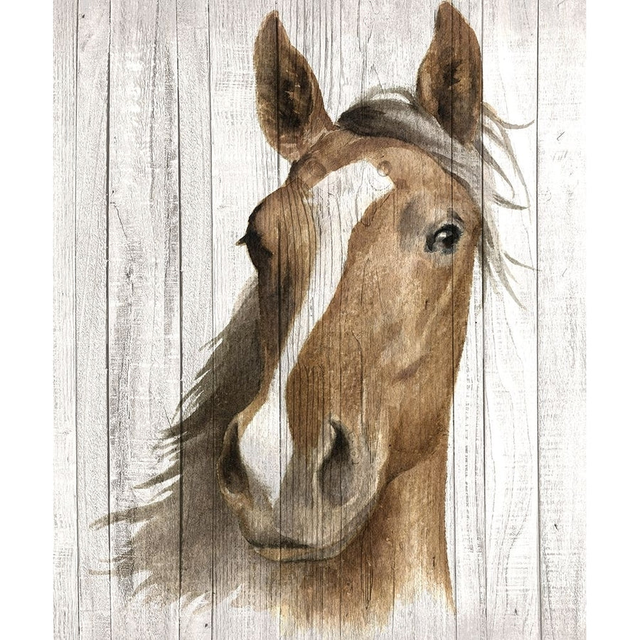 Chestnut Mare I Poster Print - Maya May-VARPDXMM005A Image 1