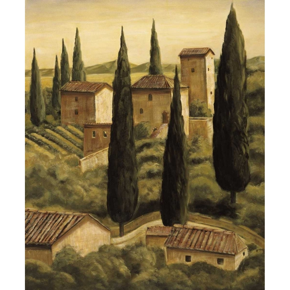 Tuscan Hillside II Poster Print by Maurizio Moretti-VARPDXMMO1392 Image 1