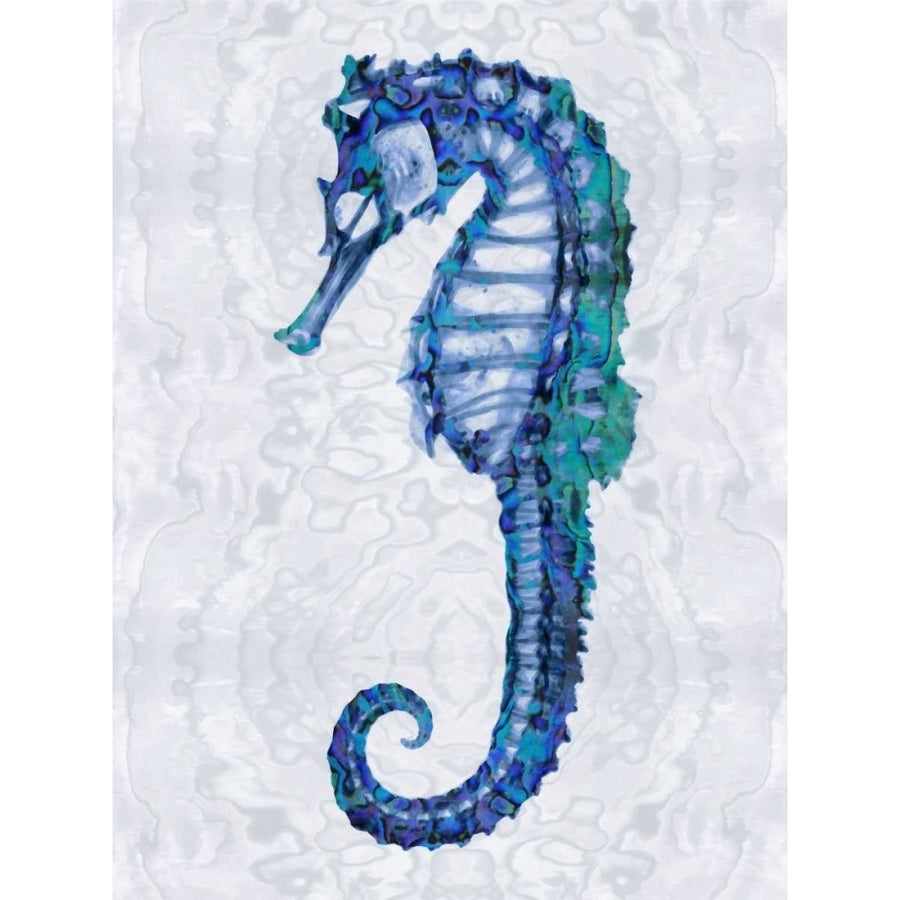 Sea Horse I Poster Print by Melonie Miller-VARPDXMMR112228DG Image 1