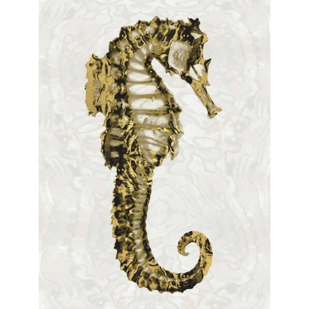 Golden Sea Horse II Poster Print by Melonie Miller-VARPDXMMR112231DG Image 1