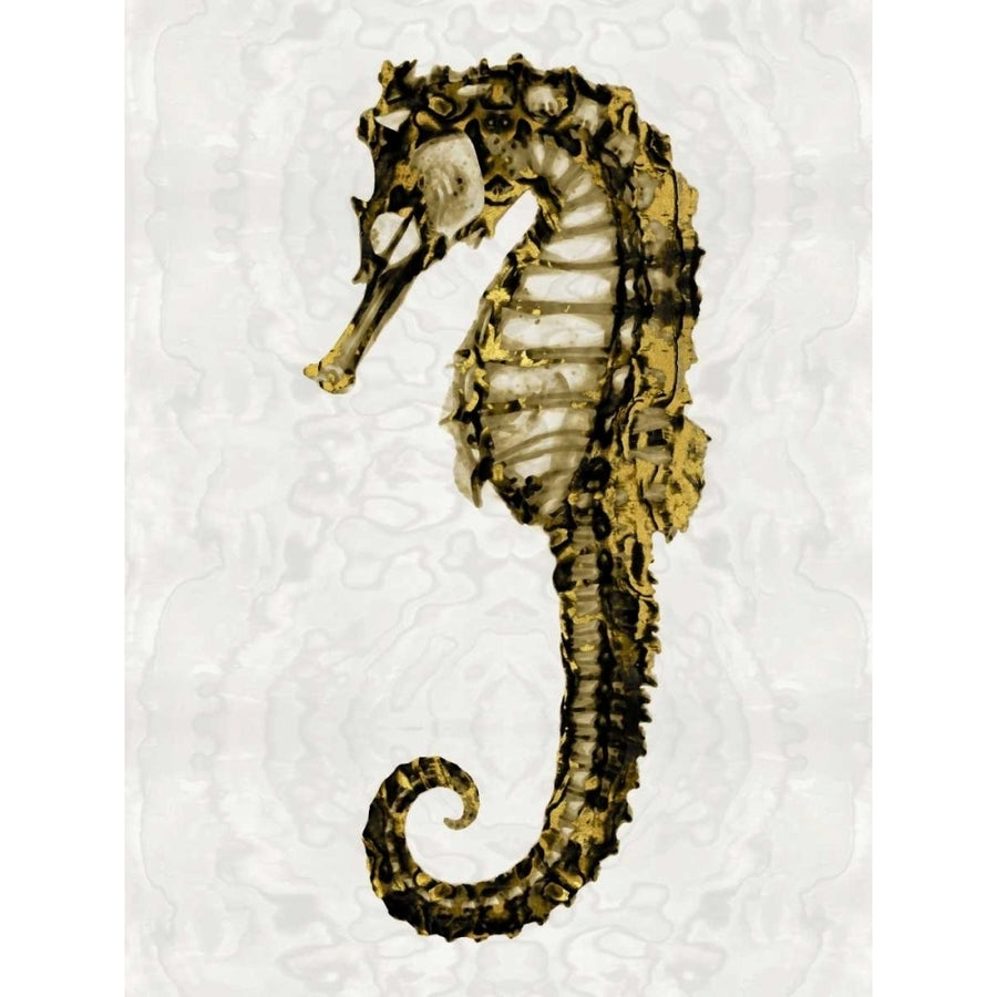 Golden Sea Horse I Poster Print by Melonie Miller-VARPDXMMR112230DG Image 1