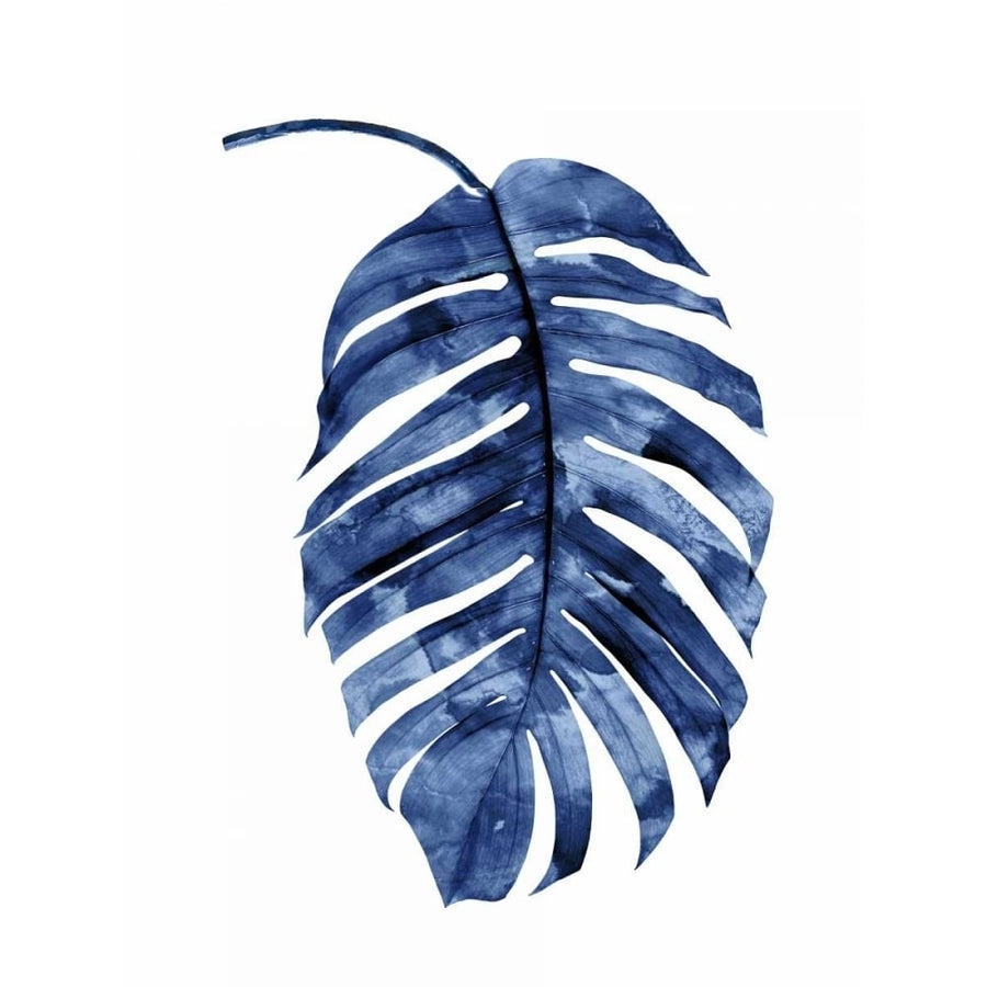 Indigo Palm II Poster Print by Melonie Miller-VARPDXMMR114321 Image 1