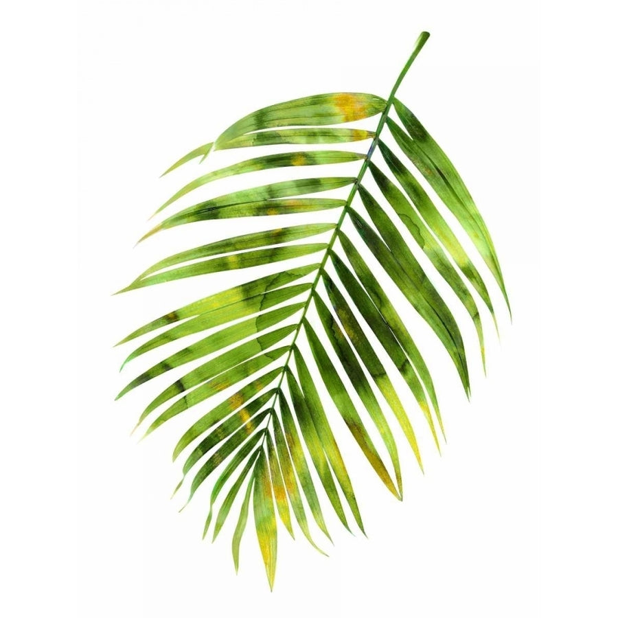 Palm I Poster Print by Melonie Miller-VARPDXMMR114324 Image 1