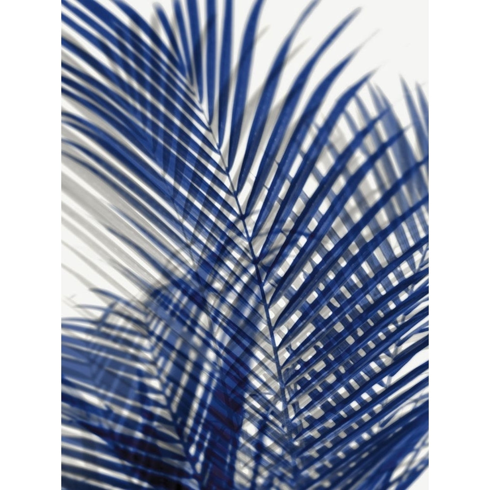 Palm Shadows Blue I Poster Print by Melonie Miller-VARPDXMMR115922 Image 1