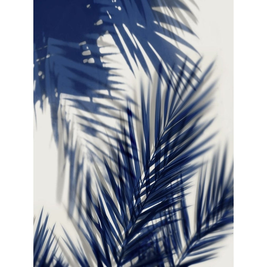 Palm Shadows Blue II Poster Print by Melonie Miller-VARPDXMMR115923 Image 1