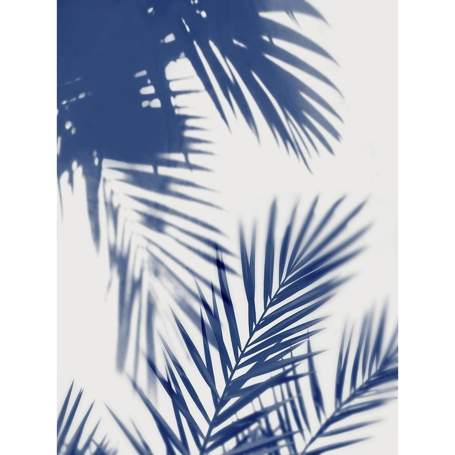 Palm Shadows Indigo II Poster Print by Melonie Miller-VARPDXMMR115925 Image 1