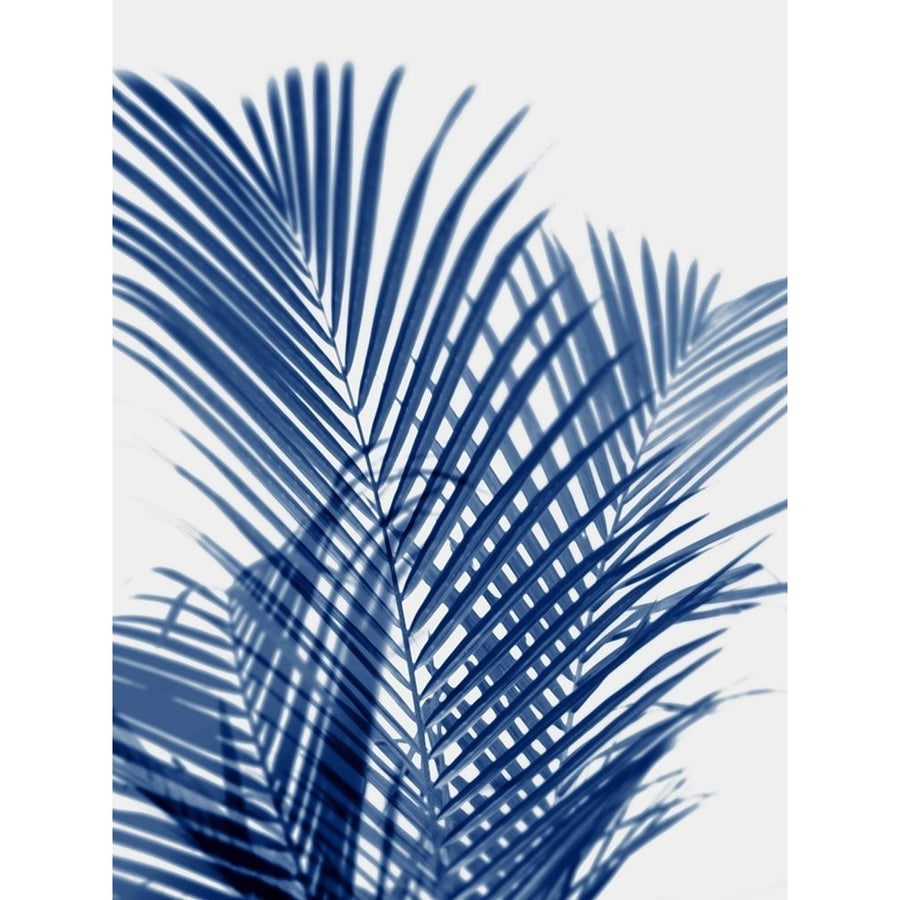 Palm Shadows Indigo I Poster Print by Melonie Miller-VARPDXMMR115924 Image 1