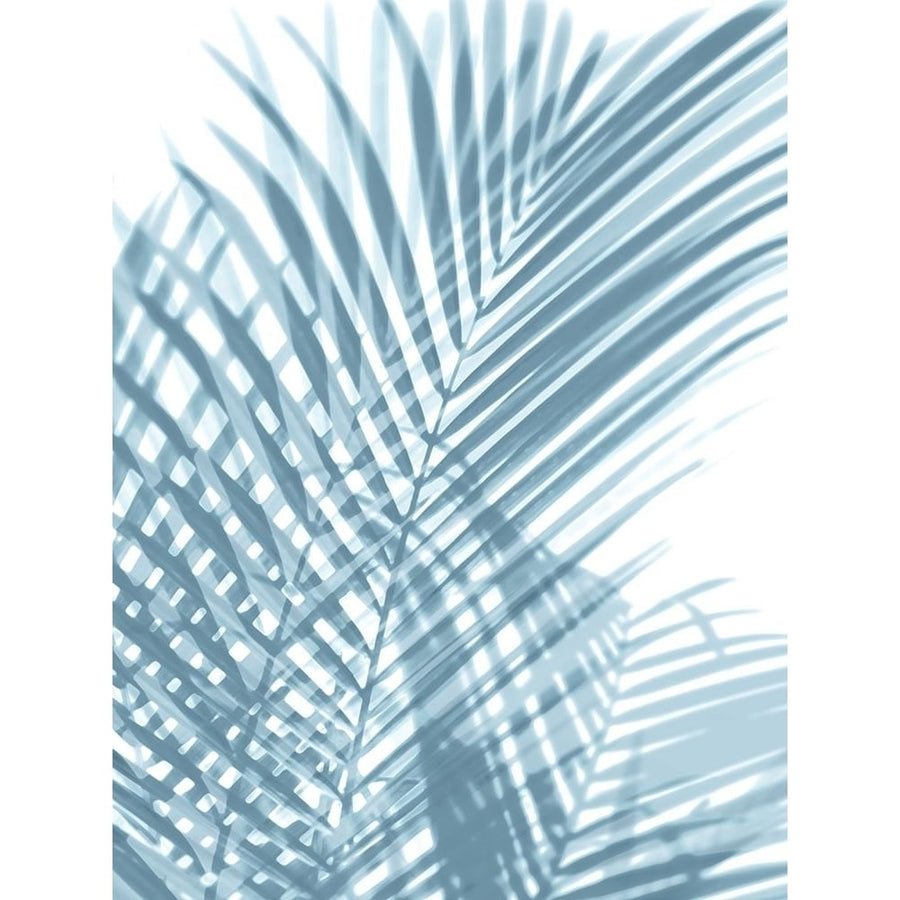 Palm Shadows Aqua I Poster Print by Melonie Miller-VARPDXMMR116285 Image 1