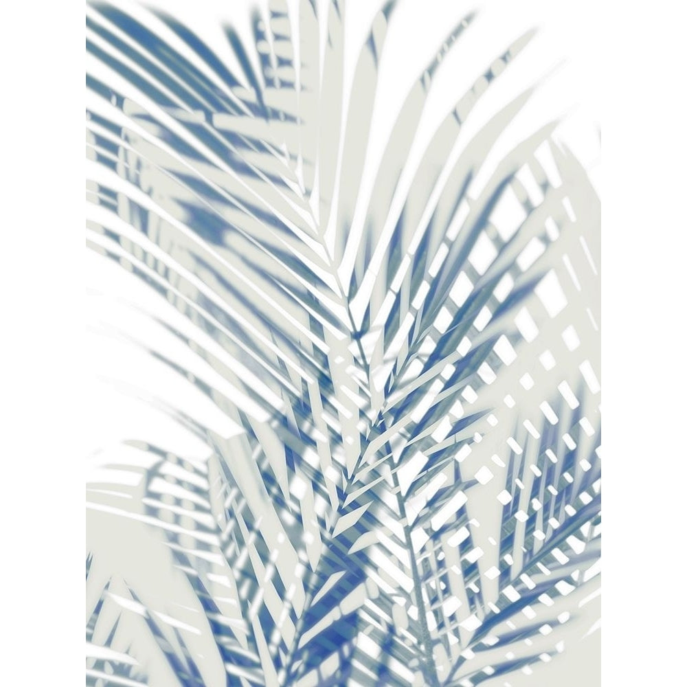 Palm Shadows I Poster Print by Melonie Miller-VARPDXMMR115928 Image 1