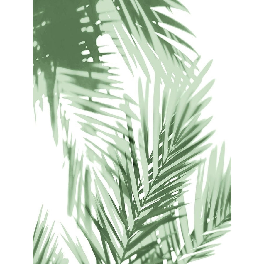 Palm Shadows Green IV Poster Print by Melonie Miller-VARPDXMMR116744 Image 1