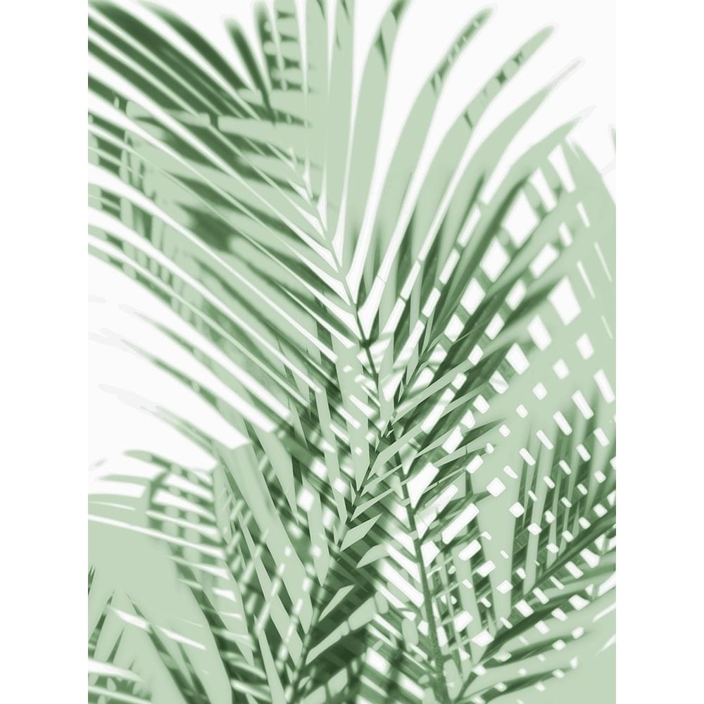 Palm Shadows Green III Poster Print by Melonie Miller-VARPDXMMR116743 Image 1