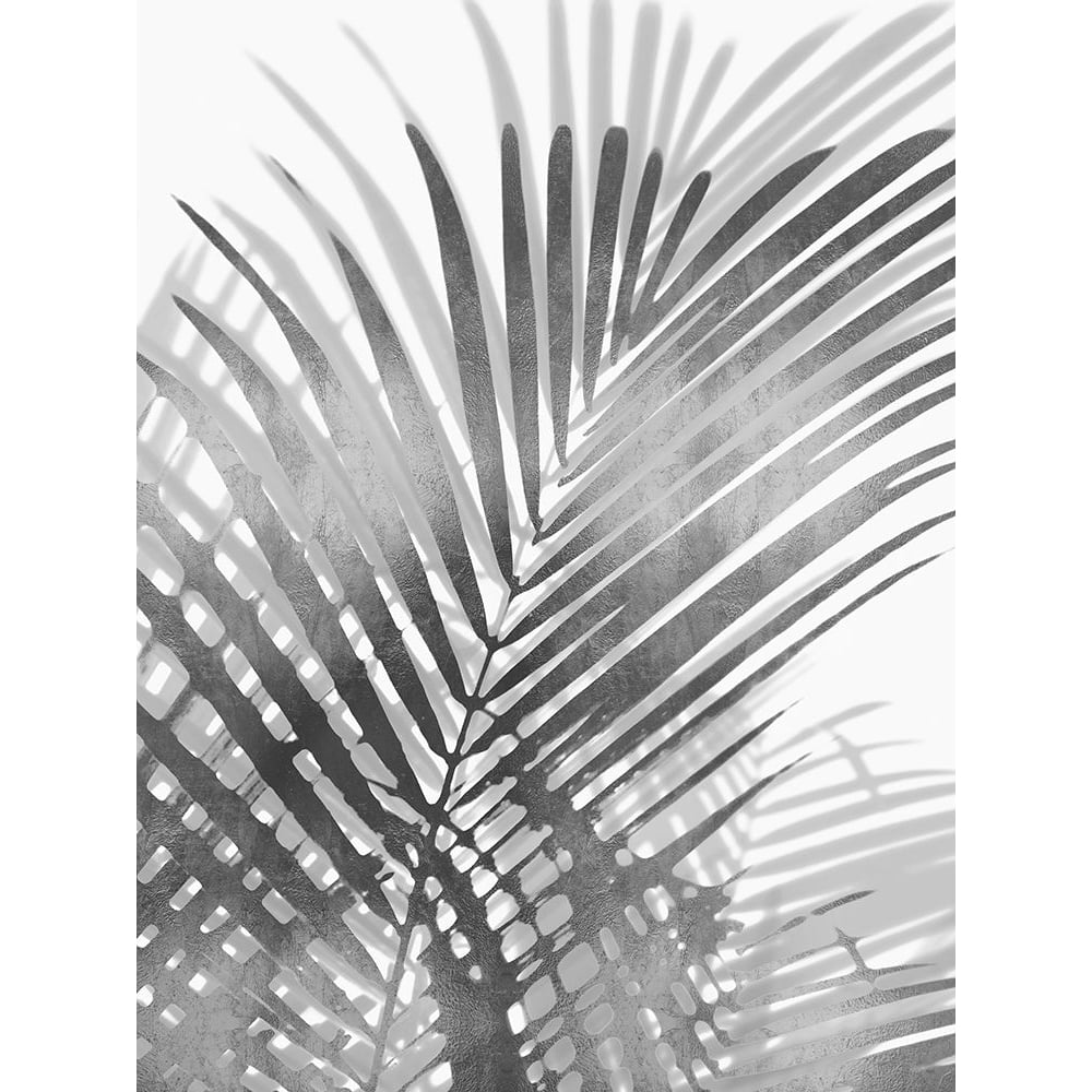 Palm Shadows I Poster Print by Melonie Miller-VARPDXMMR116745 Image 1