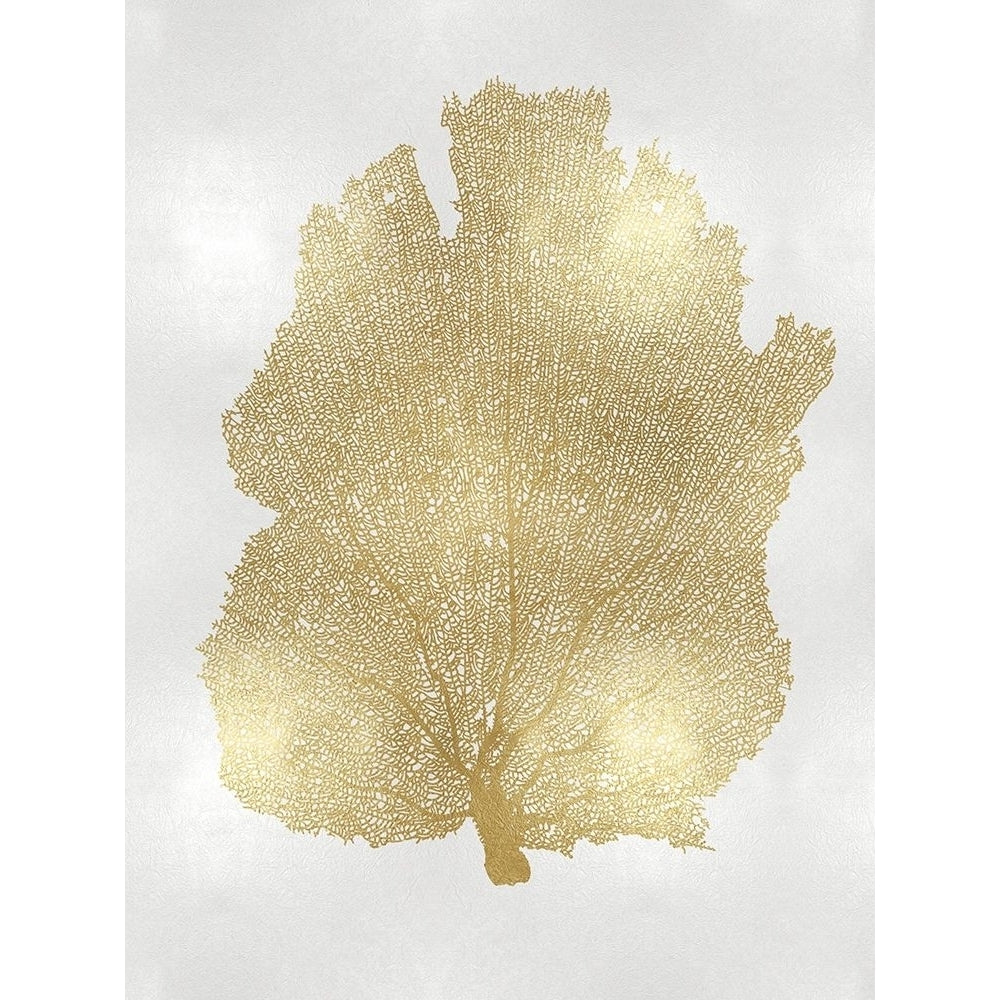 Sea Fan Gold I Poster Print by Melonie Miller-VARPDXMMR116757 Image 1