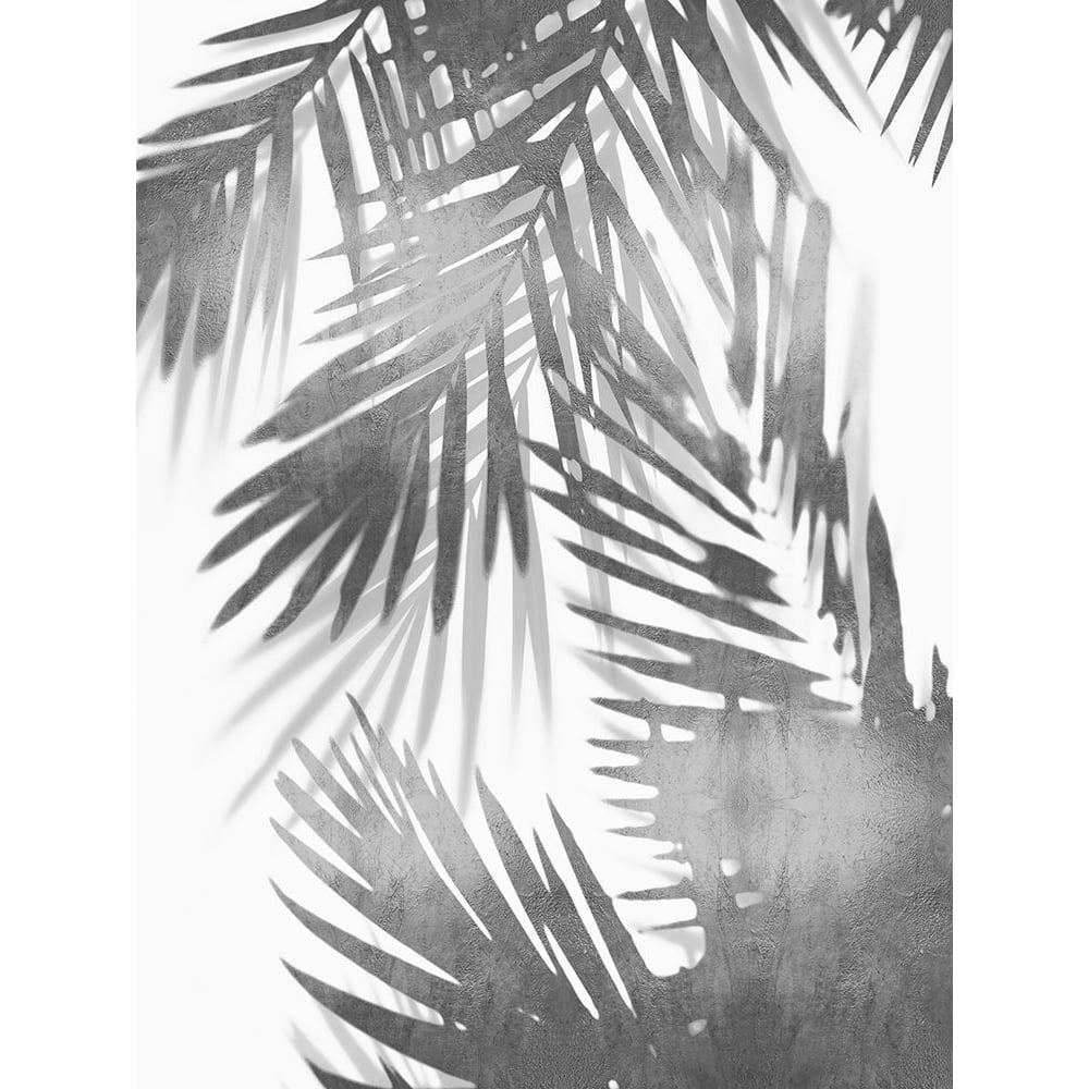 Palm Shadows IV Poster Print by Melonie Miller-VARPDXMMR116748 Image 1