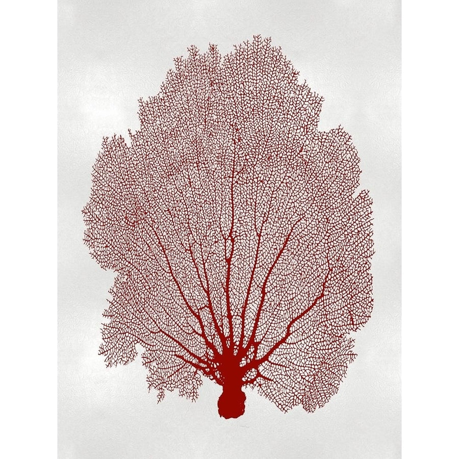 Sea Fan Coral II Poster Print by Melonie Miller-VARPDXMMR116756 Image 1