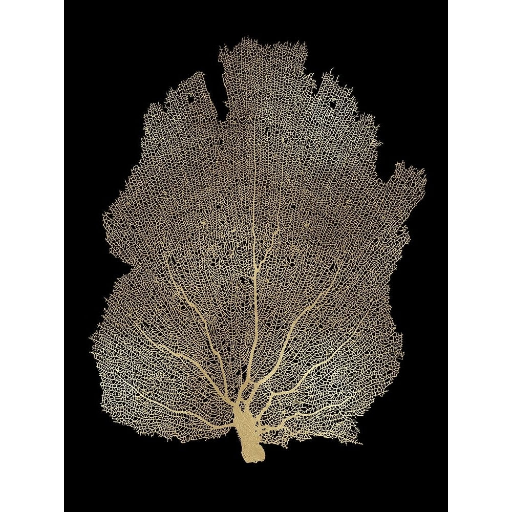 Sea Fan Gold on Black I Poster Print by Melonie Miller-VARPDXMMR116759 Image 1