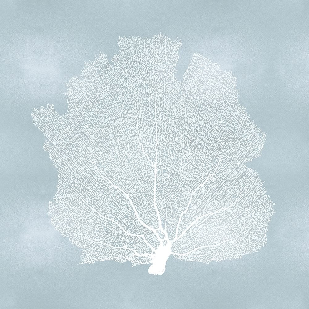 Sea Fan on Aqua I Poster Print by Melonie Miller-VARPDXMMR116765 Image 1