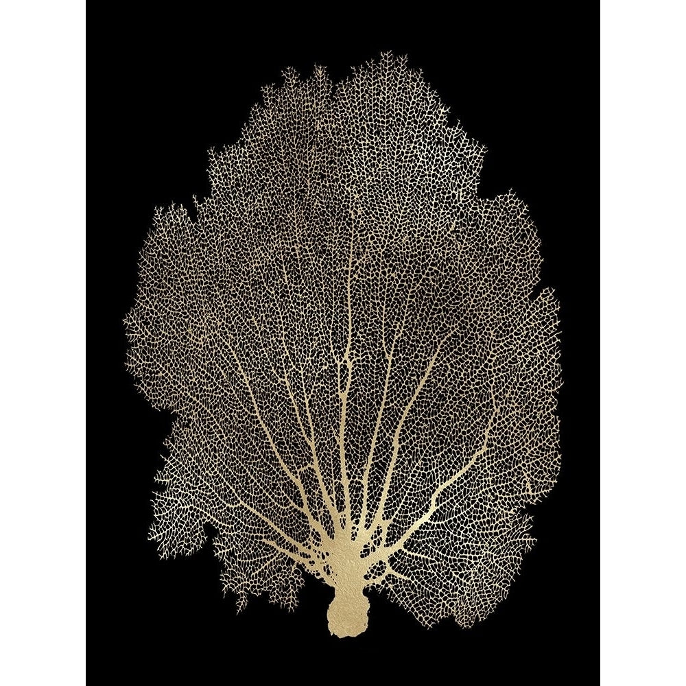 Sea Fan Gold on Black II Poster Print by Melonie Miller-VARPDXMMR116760 Image 1