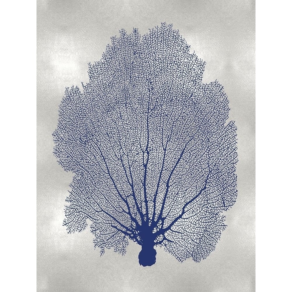 Sea Fan Indigo Blue II Poster Print by Melonie Miller-VARPDXMMR116764 Image 1