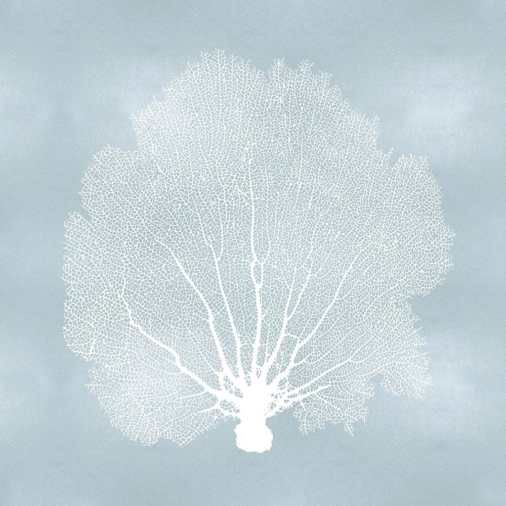 Sea Fan on Aqua II Poster Print by Melonie Miller-VARPDXMMR116766 Image 1