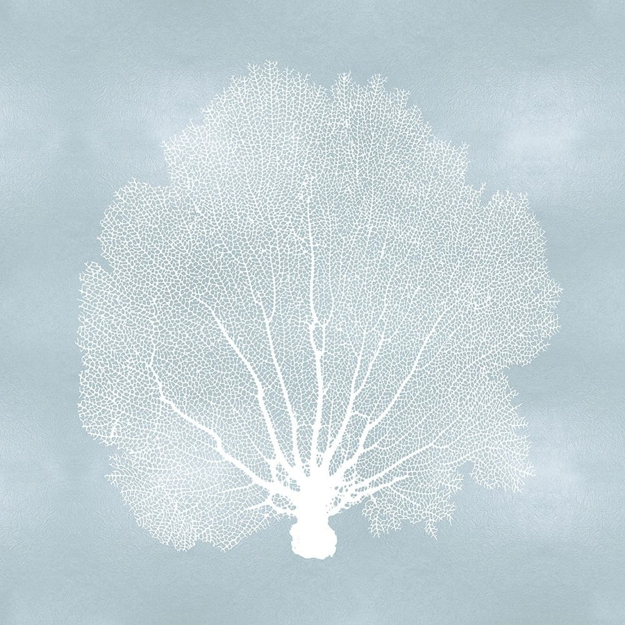 Sea Fan on Aqua II Poster Print by Melonie Miller-VARPDXMMR116766 Image 1