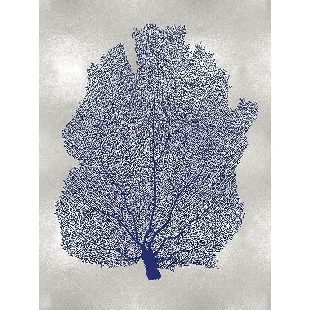 Sea Fan Indigo Blue I Poster Print by Melonie Miller-VARPDXMMR116763 Image 1