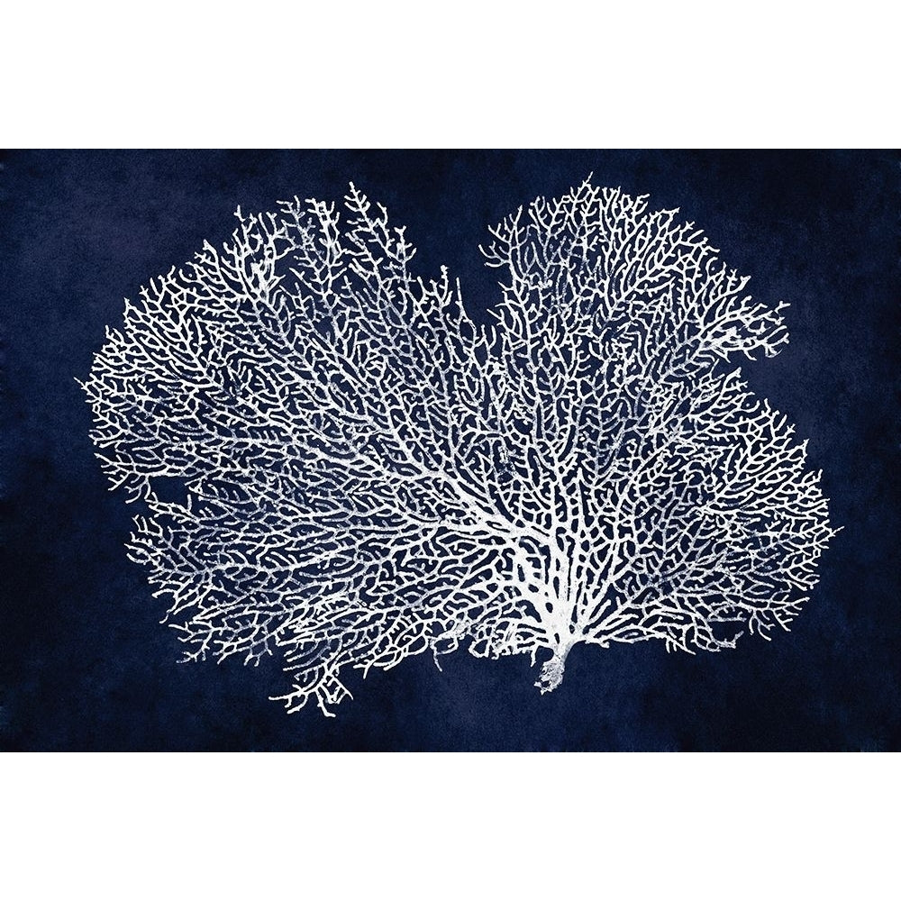 Sea Fan on Indigo Blue II Poster Print by Melonie Miller-VARPDXMMR116772 Image 1