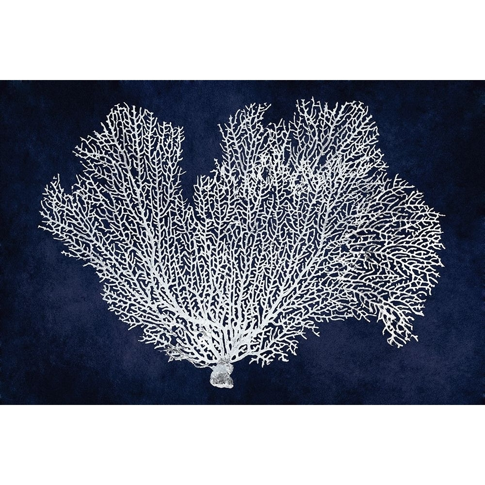 Sea Fan on Indigo Blue I Poster Print by Melonie Miller-VARPDXMMR116771 Image 1