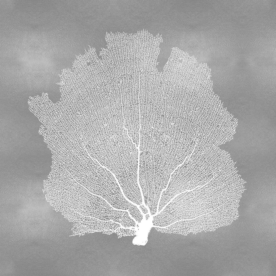 Sea Fan on Silver III Poster Print by Melonie Miller-VARPDXMMR116777 Image 1