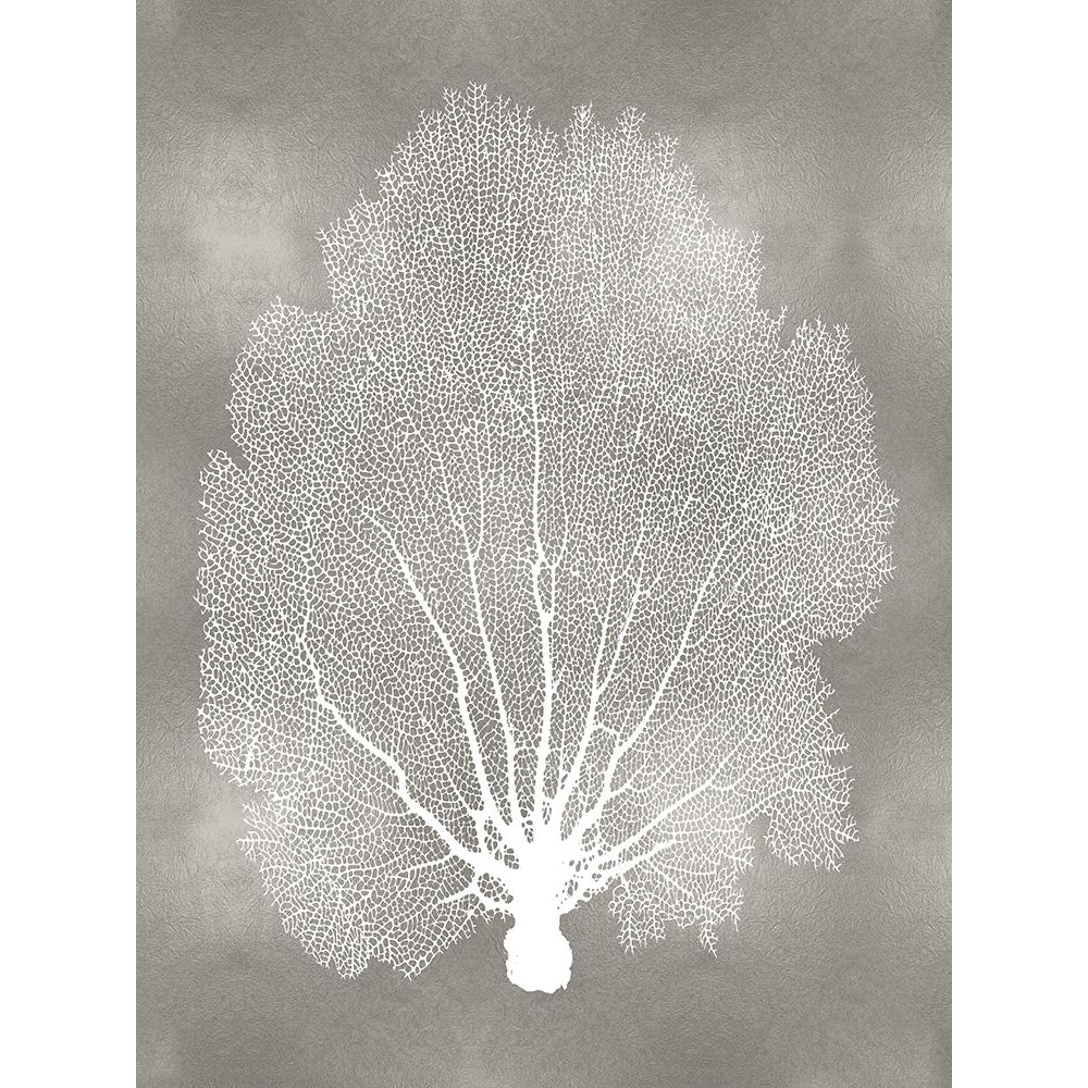 Sea Fan on Silver II Poster Print by Melonie Miller-VARPDXMMR116776 Image 1