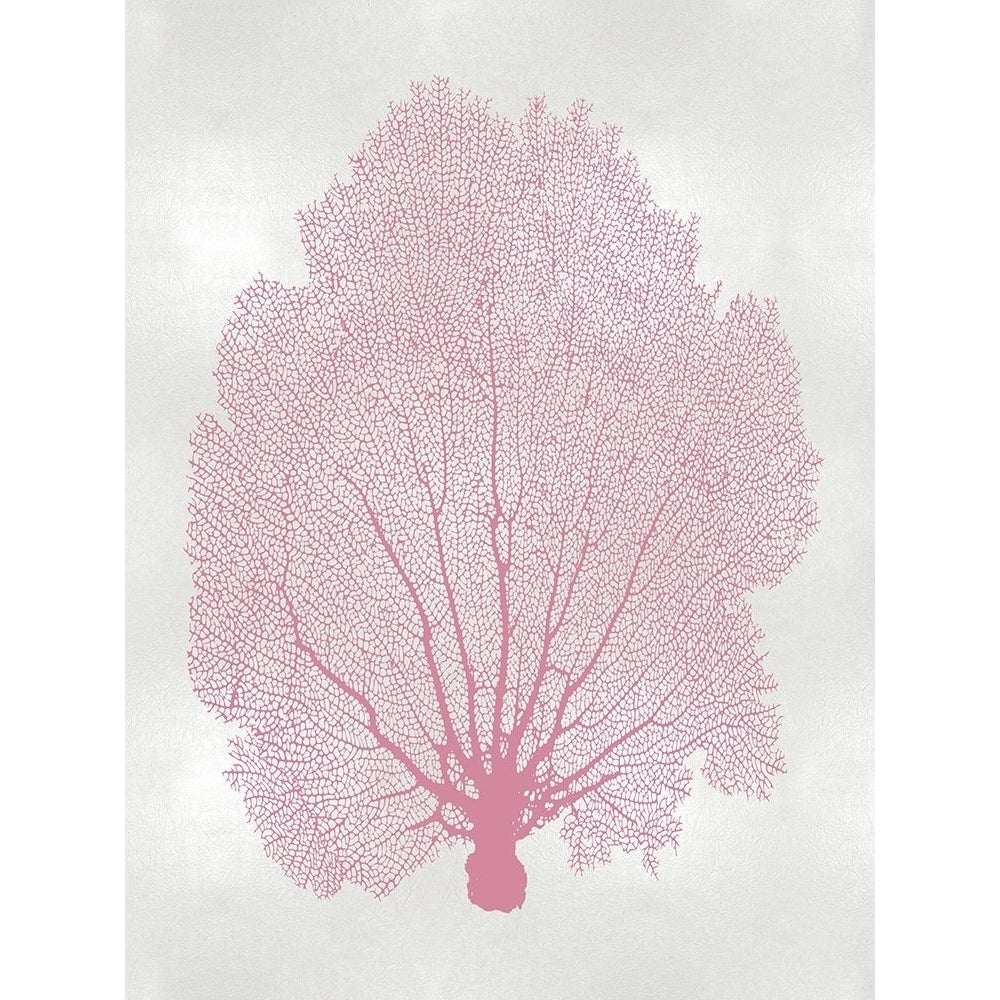 Sea Fan Pink Blush II Poster Print by Melonie Miller-VARPDXMMR116780 Image 1