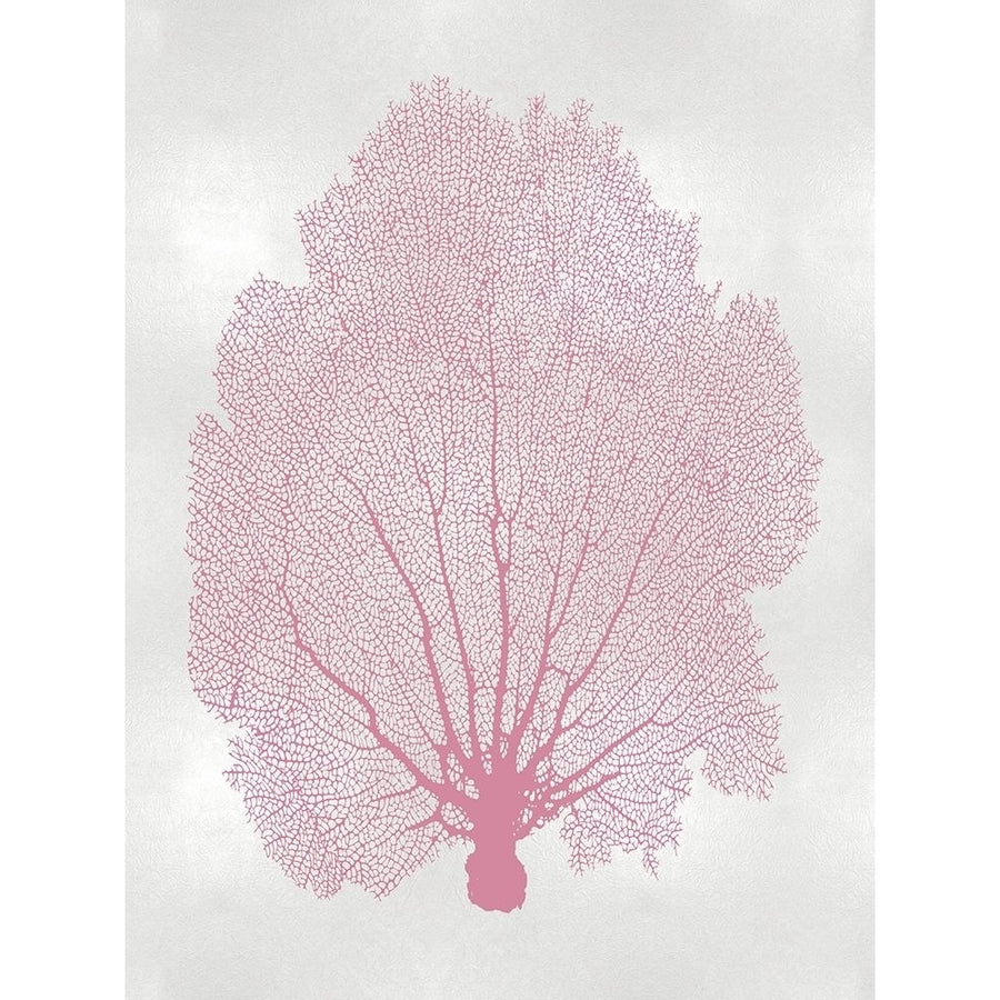 Sea Fan Pink Blush II Poster Print by Melonie Miller-VARPDXMMR116780 Image 1