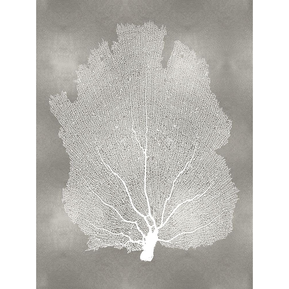 Sea Fan on Silver I Poster Print by Melonie Miller-VARPDXMMR116775 Image 1