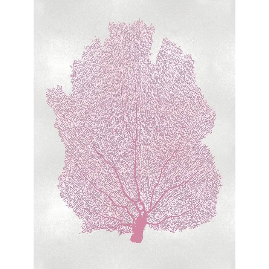 Sea Fan Pink Blush I Poster Print by Melonie Miller-VARPDXMMR116779 Image 1