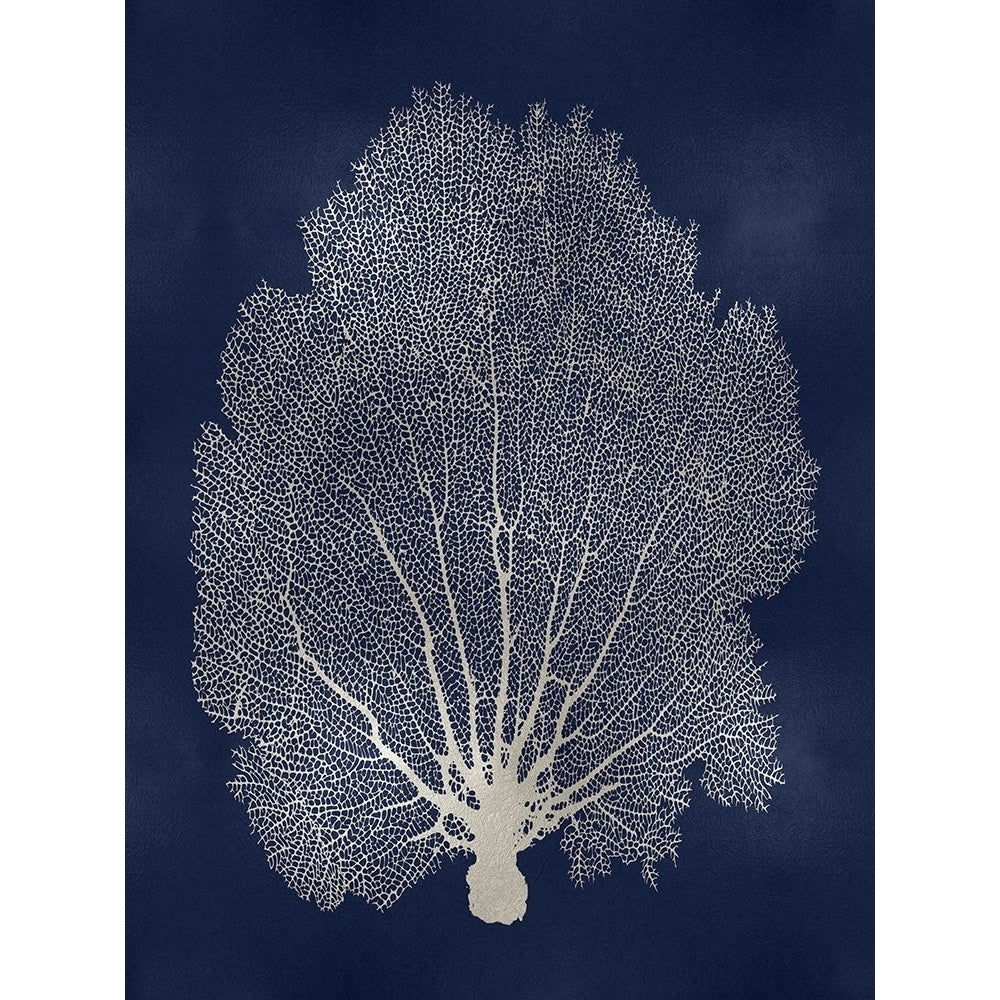 Sea Fan Silver on Blue II Poster Print by Melonie Miller-VARPDXMMR116782 Image 1