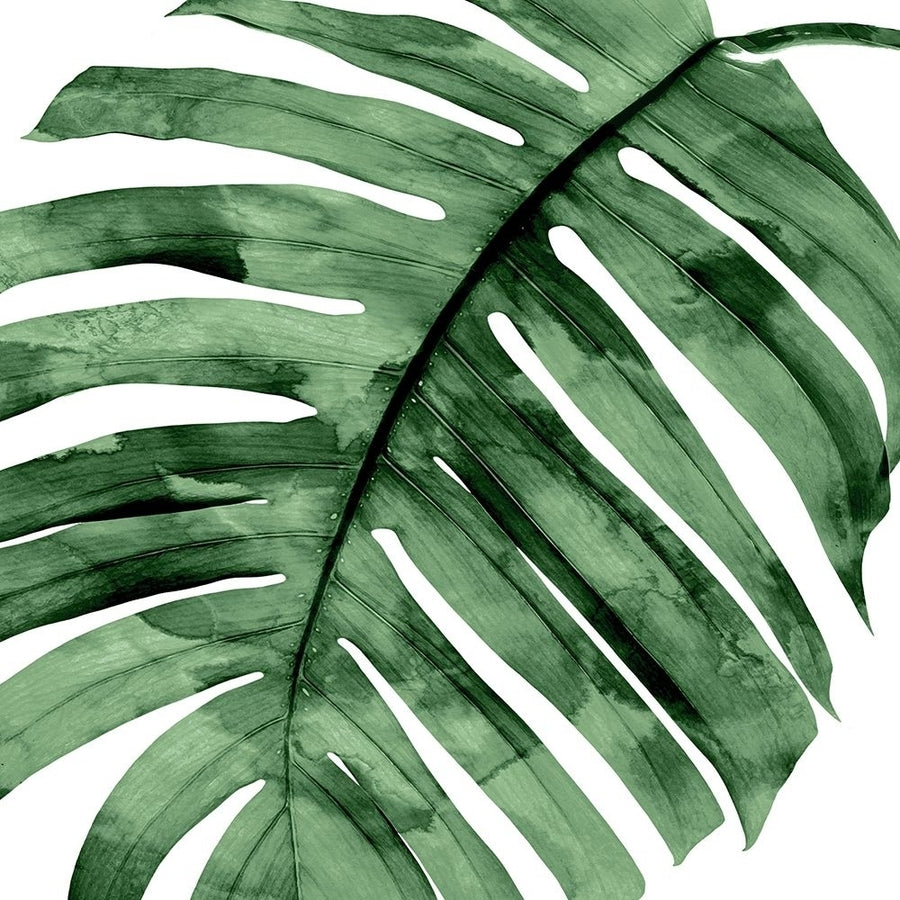 Tropical Green Palm II Poster Print by Melonie Miller-VARPDXMMR116786 Image 1