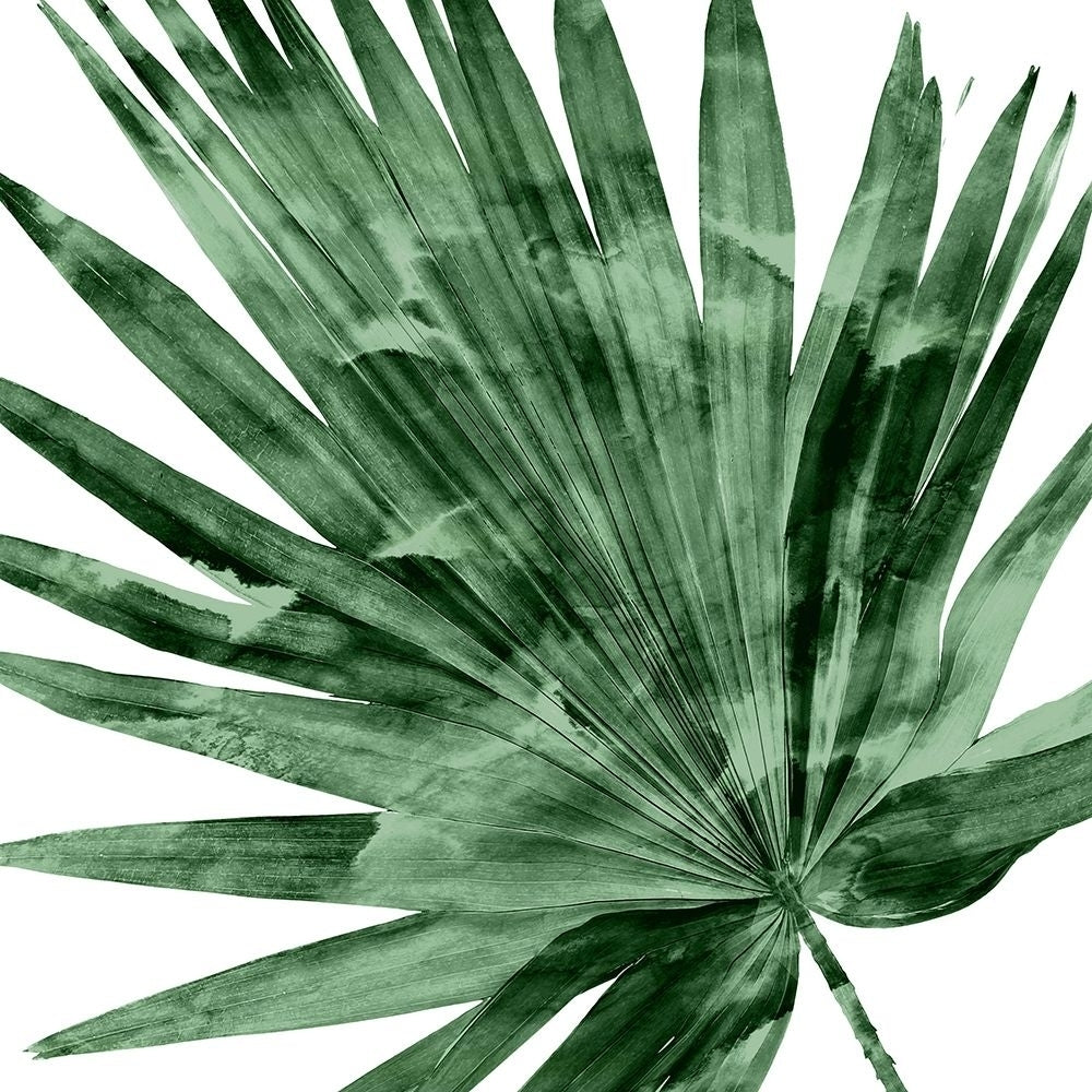 Tropical Green Palm IV Poster Print by Melonie Miller-VARPDXMMR116788 Image 1