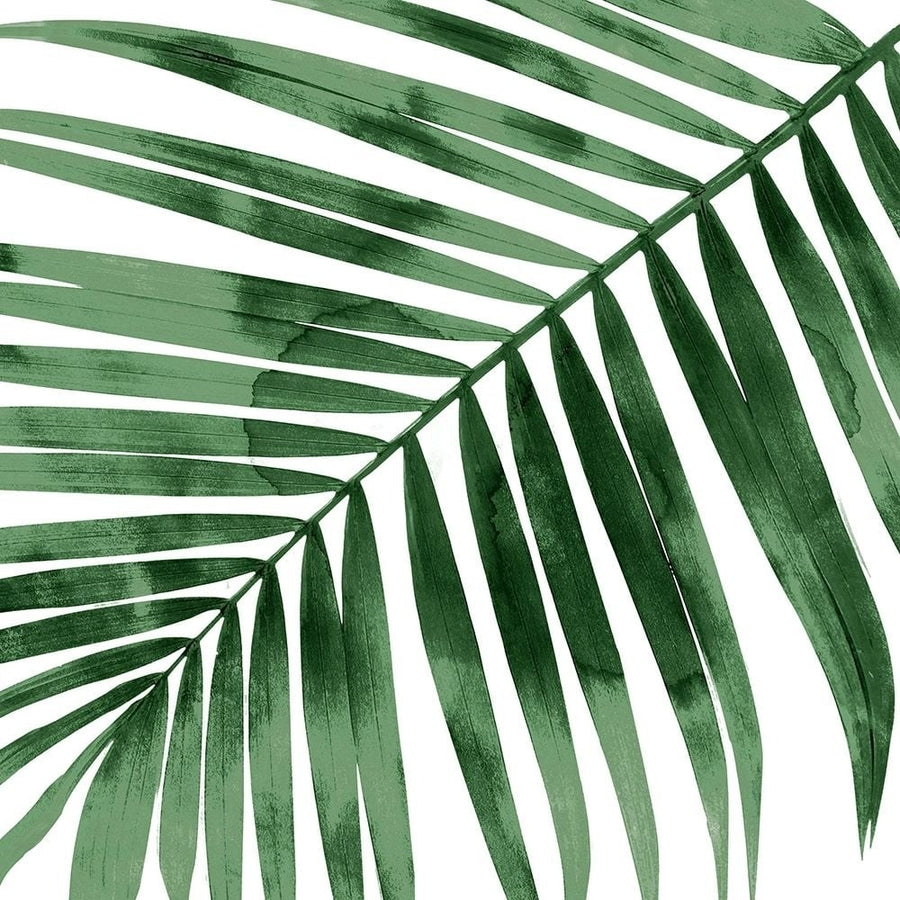 Tropical Green Palm I Poster Print by Melonie Miller-VARPDXMMR116785 Image 1