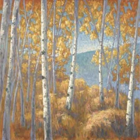 Fall Aspen I Poster Print by John Macnab-VARPDXMNB014 Image 1