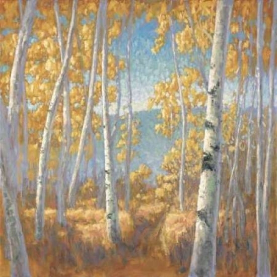 Fall Aspen I Poster Print by John Macnab-VARPDXMNB015 Image 1