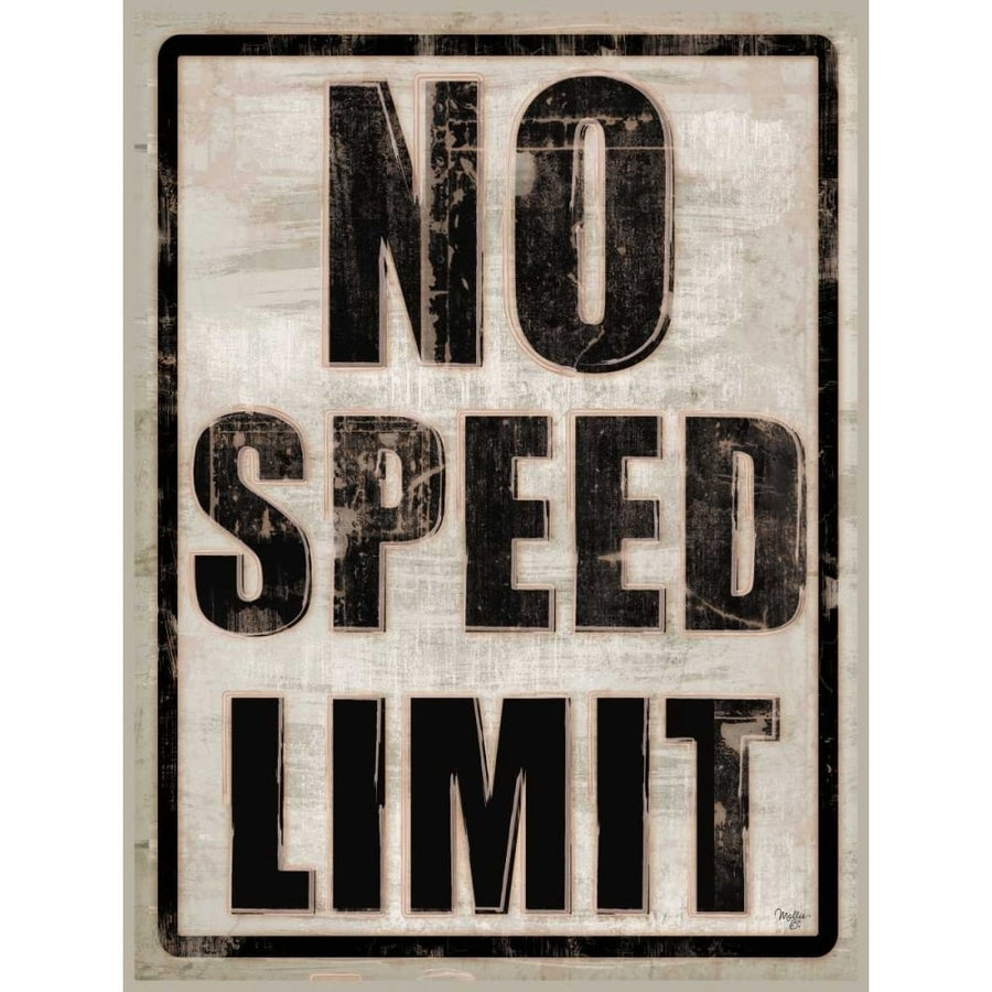 No Speed Limit Poster Print by Mollie B. Mollie B.-VARPDXMOL1605 Image 1