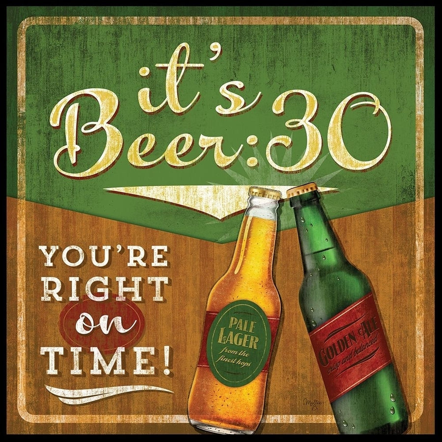 Beer 30 Poster Print by Mollie B. Mollie B.-VARPDXMOL671 Image 1